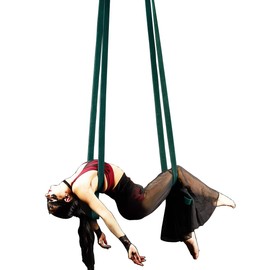 9ft 2.75m Aerial Straps Ropes Yoga Aerial Acrobatics Body Aerial Loop Trapeze Circus Apparatuses Equipment Three-Layer Straps 1 pairs (Dark Green)