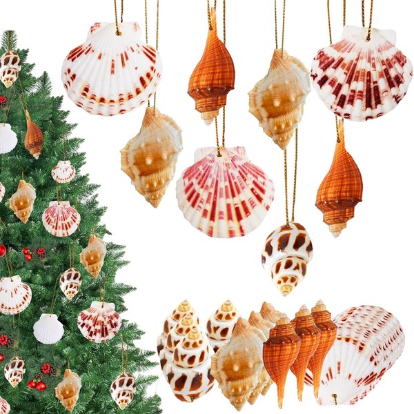 20 PCS Christmas Tree Hanging Ornaments Natural Conch Shells Decorations