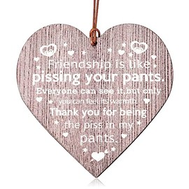 Funny Friend Gifts for Women Men Friends Sign Wall Decor Wood Best Friend Thank You Plaque for Teen Girls Boys Wood Wall Hanging Decor with Friendship Sayings Bff Christmas Birthday Gifts for Friends