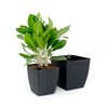 TREATLIFE HOME 2-Pack Hand Woven Wicker Planters with Self-Watering System,