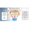 Innovaciones Tapas De Silicon Reutilizables Antiderrames (6 Piezas)