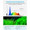 NICREW SkyLED Plus Aquarium Plant Light, Freshwater Fish Tank Light