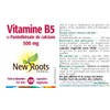NEW ROOTS HERBAL New Roots Herbal - Vitamin B5-500mg -