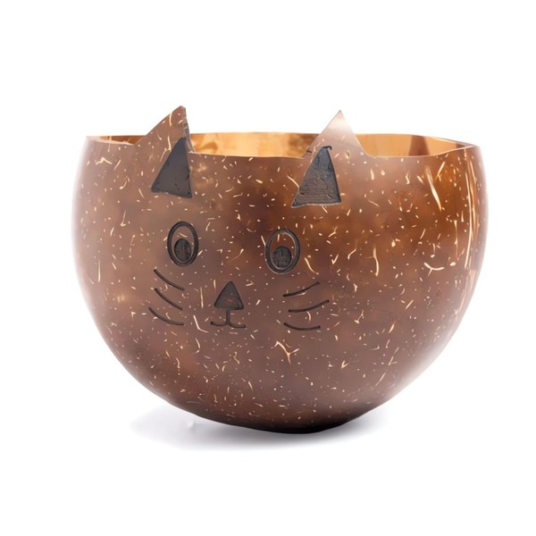 HOME INFINIX Handmade Coconut Shell Bowl – Eco-Friendly & Cute