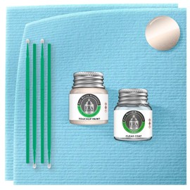 ERA Paints 4M9 - Cashmere Beige Metallic for LEXUS Exact Match Automotive Touch Up Paint Jar - Essential Kit