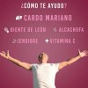 Cardo Mariano, Diente de Léon, Jengibre, Alcachofa y Vitamina C