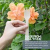 Galashield Disposable Wooden Forks Bulk 1600 Piece 6.3" Length Eco