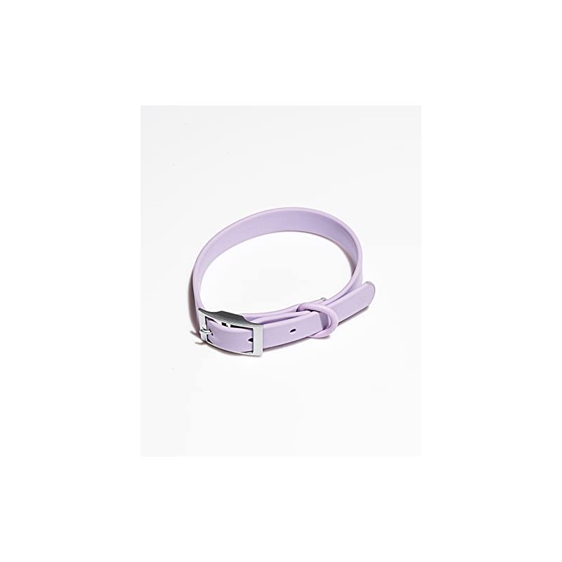 Wild One Collar - Large - Lilac