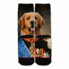 Function - Custom French King Duke Dog Cat Pet Animal