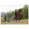 Zugpferde bei der Feldarbeit (Wandkalender 2026 DIN A4 quer), CALVENDO
