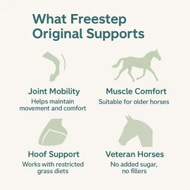 Freestep Original – Fast-Acting No Bute Laminitis Support for Horses – Joint, Muscle & Hoof Comfort Supplement – Rapid Absorption – FEI & BHA Compliant – Veteran & Low Sugar Diet Friendly (500g)