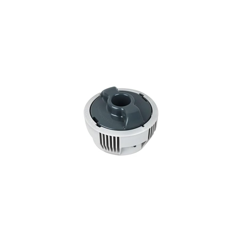 P05345 P03821 Chemical Pool Chlorine Dispenser for Hot Tub Spa
