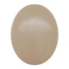 (For Smooth and Shiny Nose) Daily Pore Care, Removes Old