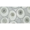 Bresser Microscope High Quality Prepared Slides - White (Pack of
