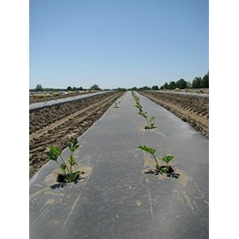 Plastic Mulch Film - Black - Eco-One - 4 ft. X 250 ft. - .5 Mil Thick - by Growers's Solution
