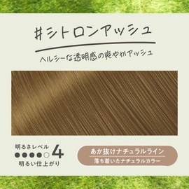 Liese Bubble Color Citron Ash Hair Color for Black Hair (4.3 fl oz (115 ml)