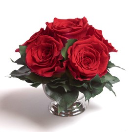 ROSEMARIE SCHULZ Heidelberg Infinity Flower Arrangement in Silver Bowl, 6 Preserved Roses in Red Long Lasting (Red, 6 Roses)