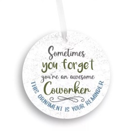 Farmhouse World Funny Christmas Ornament for Coworker - Christmas Gift for Coworker