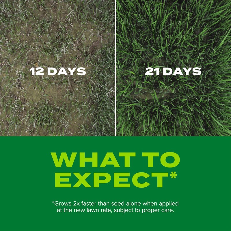 Scotts Turf Builder Rapid Grass Sun and Shade Mix, Combination