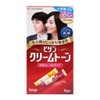 Bigen Cream Tone Hair Dye 6G Natural Brown 60g /