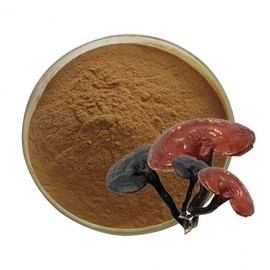 Reishi Mushroom Extract Powder 100g Sample