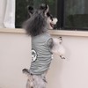 CuteBone Dog Shirts 2-Pack Soft Pet Clothes Breathable Summer Vest