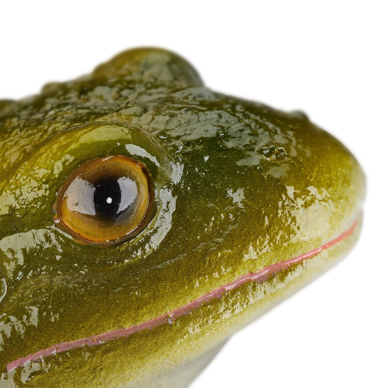 Relaxdays 2 x Garden Figurine Frog Weatherproof for Balcony, Patio,