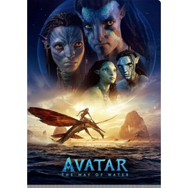 abata way of water pocket file w pocket clear file a 4