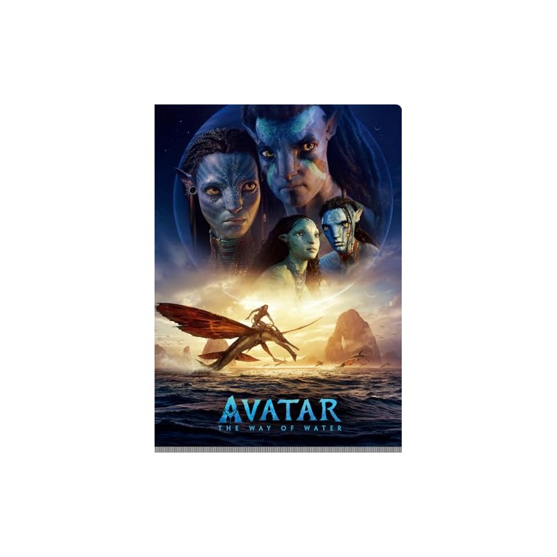 abata way of water pocket file w pocket clear file