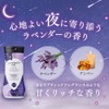 Summer Eve Lavender Night Wash 12.0 fl oz (354 ml)