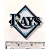 TAMPA BAY RAYS EMBROIDERED IRON ON PATCH 2.75” X 2.75”
