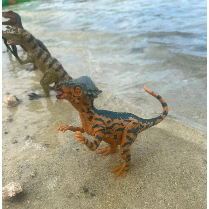 Kid Galaxy Amazing Detail PACHYCEPHALOSA