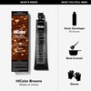 L'Oréal Technique HiColor Browns & Blondes Permanent Hair Color -