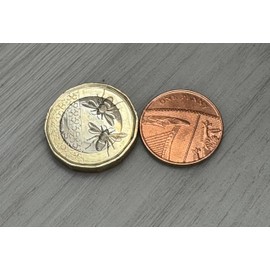 Coin Unique Magic Trick King Charles £1 and Elizabeth 1p Version - Close up Magic Effect
