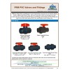ERA New Sch 80 PVC 3 Inch True Union Ball