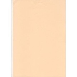20 Sheets A4 Salmon/Pastel Peach 80GSM Paper - Printer Copier Craft Office Stationery 20+ Colours Available