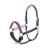 SIE Padded Leather Horse Halter with Brass Hardware and Raised