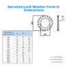 M12 Serrated Washers (Pack of 50) Galvanised Alloy Steel A2