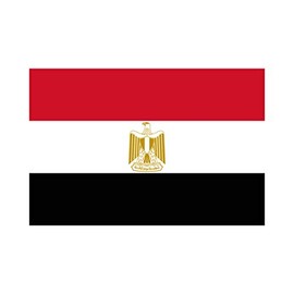 inking house Set of 5 x Egypt Flag Iron on Screen print Fabric Applique machine washable transfer Egyptian Flag