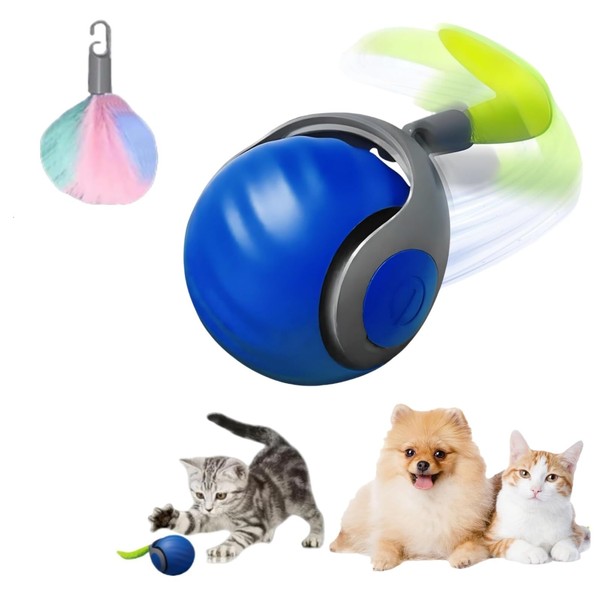 Winnsell Interactive Cat Ball Toy, Cat Toys with 2 Modes