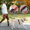Upgraded Retractable Dog Leash with Chew Proof Extender, Pet Walking