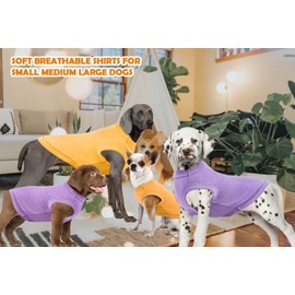 SyChien Dog Blank Shirts,Clothes for Medium Large French Bulldog,Dogs Girl Boy Cotton T Shirt,Lightweight Costume,Yellow & Purple L