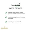 Pukka Herbs | Supreme Matcha Green Organic Herbal Tea |