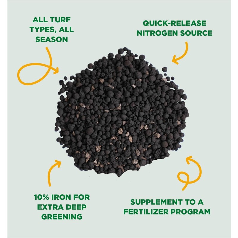 The Andersons Professional Lean & Green Fertilizer 2-0-0 with Iron