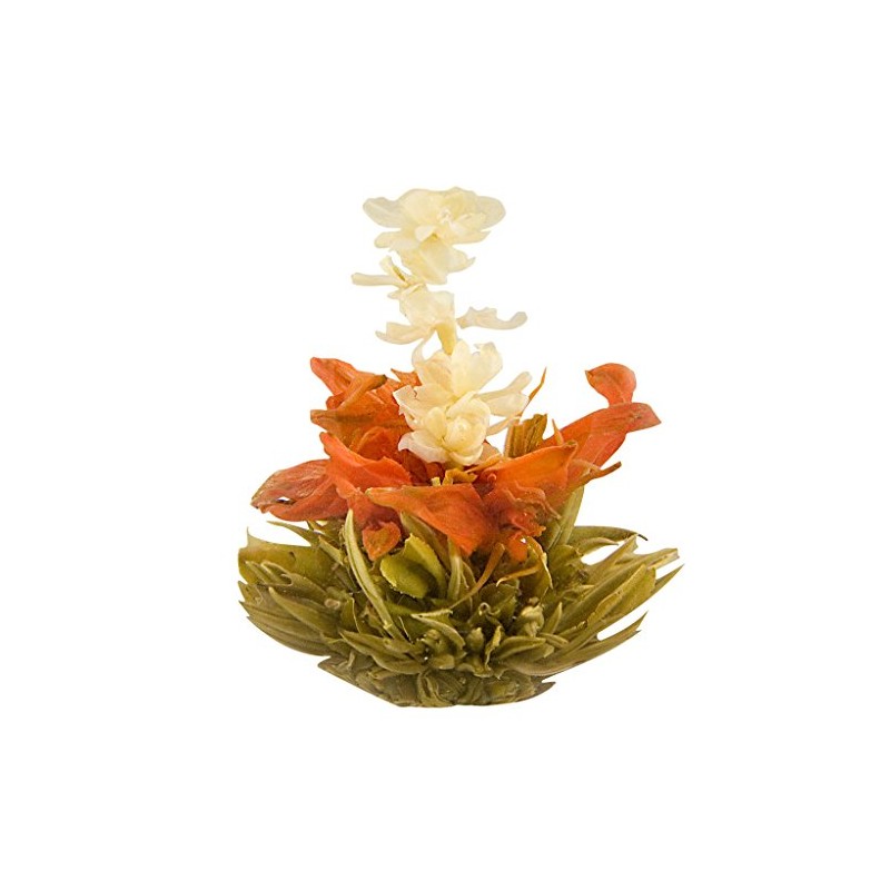 The Exotic Teapot – Mango Splash Flowering Tea, 10 Bloom