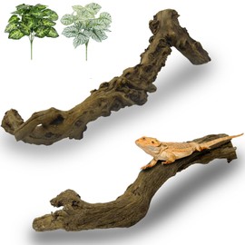 Apatal Reptile Branch Decor 2 Pcs Snake Climbing Wood Branches Lizard Habitat Decorations Terrarium Natural Forest Tree Trunk Ornament for Bearded Dragon Geckos Chameleon Frog