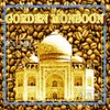 Coffee Raw Beans Golden Monsoon Galaxy Coffee (250g, Coffee)