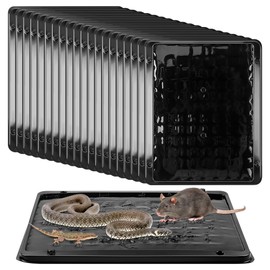 Qualirey 20 Pack Jumbo Rat & Mouse Glue Traps, Larger and Heavy Duty Mouse Traps Indoor for Home, Pre Scented Adhesive Plastic Tray with for Spider Trap, House, Snake, Mice, Safe to Children and Pet