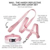 Pet Passion 2-Pack MAX - The Hardy Reflective Dog Collar