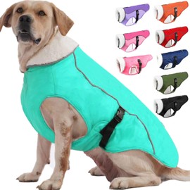 EMUST Winter Dog Jacket, Windproof Dog Apparel for Cold Weather, Reflective Winter Coats for Dogs, Warm Puppy Jacket for Cold Winter, Turquoise, S